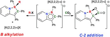 DaltonTrans's tweet photo. Divergent reactivity of nucleophilic 1-bora-7a-azaindenide anions - hot article by @wpiers1 - https://t.co/FE2LtITldC https://t.co/HAHk3AZKDU