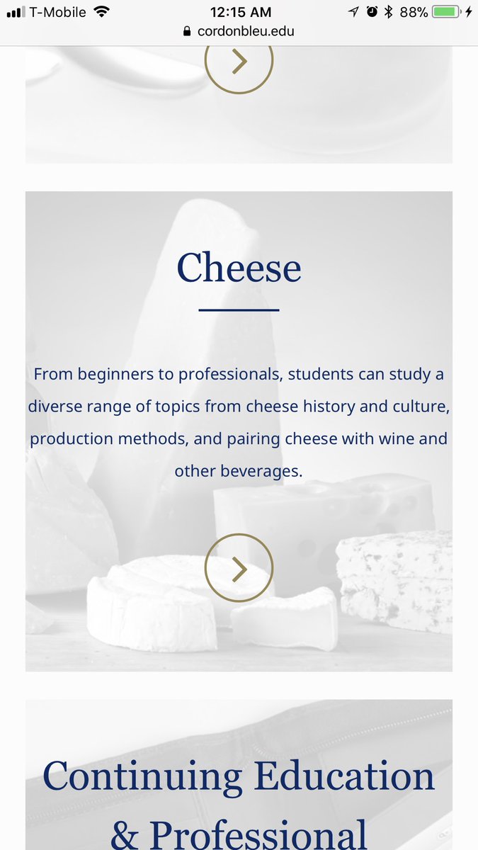 Madeline Fisk tweet media