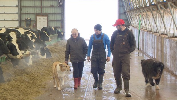 PEIfoodies's tweet photo. 'It's a lifelong dream': #Bonshaw family wins top award for #dairyfarmers in #Canada. #MacTallaFarms one of only 19 on #PEI to earn #MasterBreeder title since 1929.
https://t.co/DcMYvBCYx2 https://t.co/cQye4gTPw6