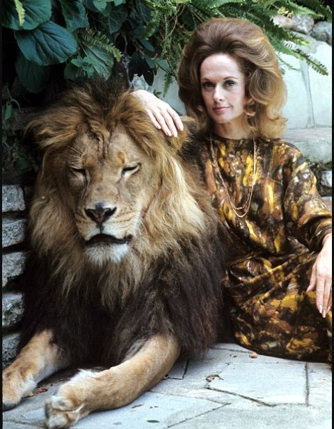 Happy birthday to Tippi Hedren (the embodiment of the Tarot card Strength). 