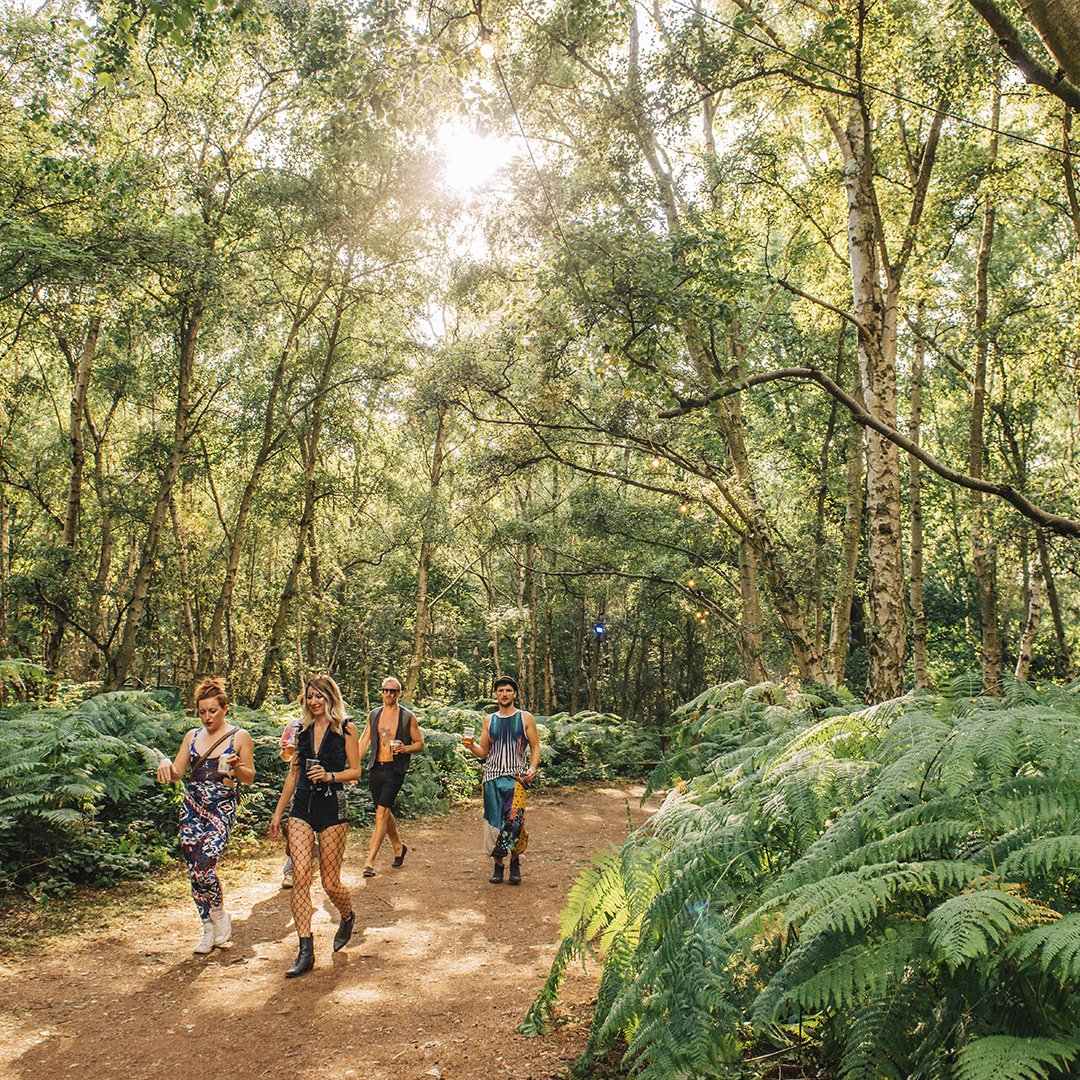 lostvillagefest's tweet image. Phase 2 tickets will disappear in the next 48 hours. Now is the time! 🌲⚡️🌲