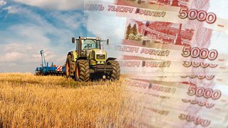 Аграриям Карачаево-Черкесии компенсировали ущерб от ЧС природного характера 2016 года
riakchr.ru/news/agrariyam…