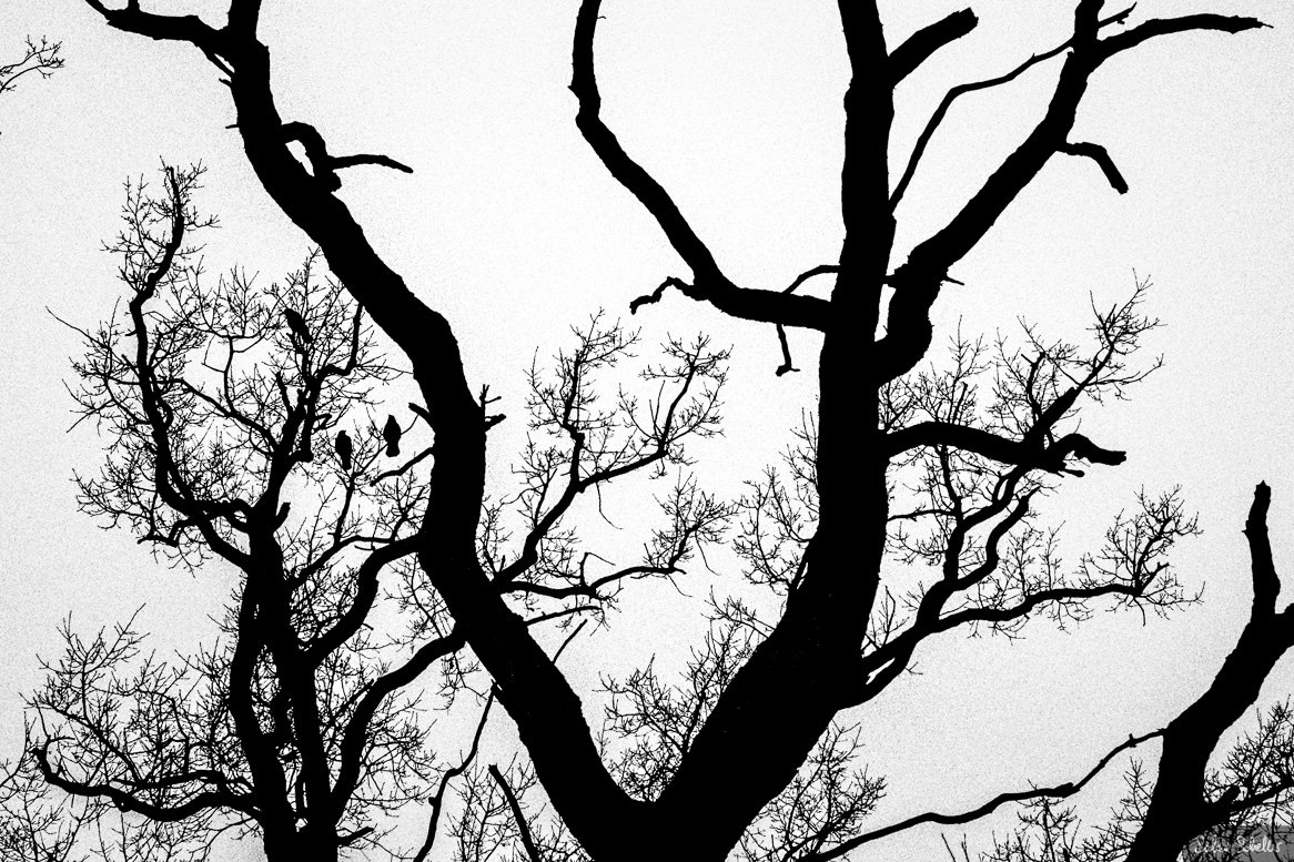 01.2018 | Hey you... #photography #documentary #travel #neverstopexploring #outsideisfree #fujixe3 #zeiss35mm