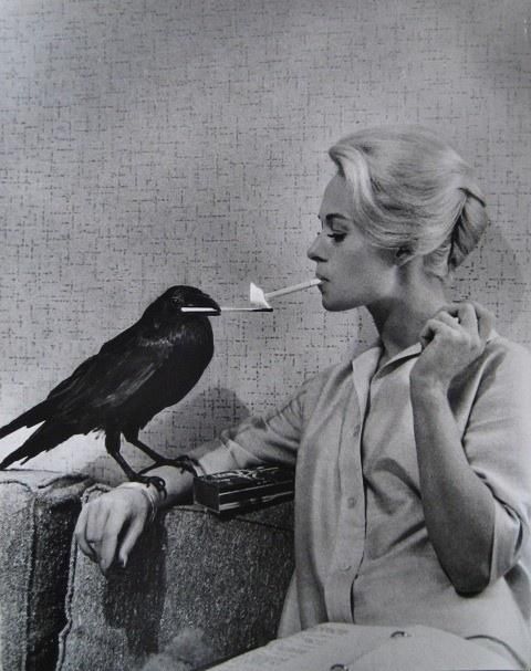 Happy birthday to Tippi Hedren. Photo by Philippe Halsman, 1962. 