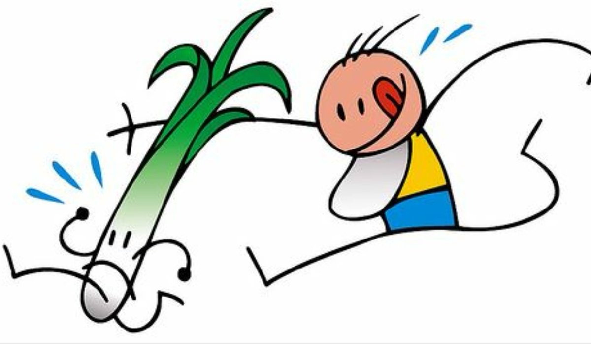 calnenet's tweet photo. No badis, que els calçots estan al seu punt òptim i la temporada passa volant!! 🌱👌 https://t.co/5qrG9fTmCN