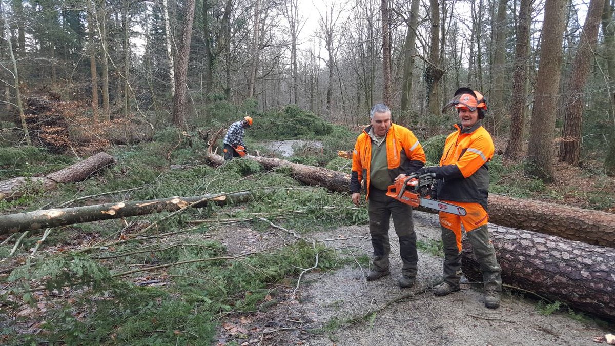 kasteeltwickel's tweet photo. De mannen van de bosploeg ruimen ca. 1000 kuub eik en 1500 kuub naald. #storm op Twickel, alle hens aan dek. https://t.co/6i9EqqJ42K