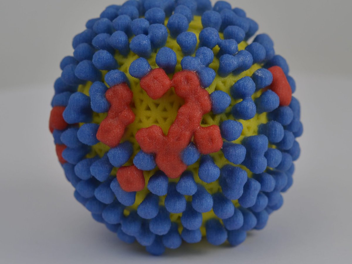Jacobi/Montefiore EM tweet media