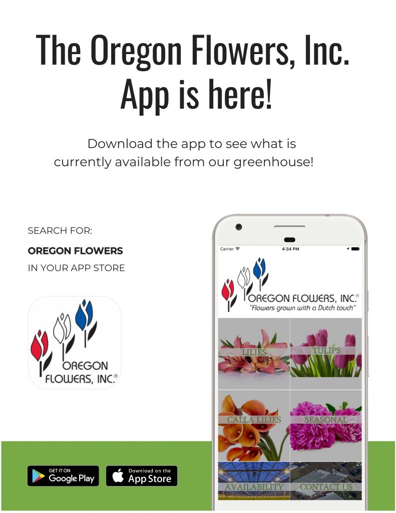 Florist_20's tweet photo. Just posted: Oregon Flowers, Inc. Launches Mobile App - https://t.co/87mnFu0k4o https://t.co/xi3jjOqfUK