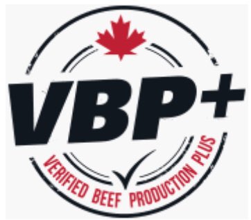 TruemanBeth's tweet photo. Thunderbrook Farms is proud to be Verified Beef Production Plus (VBP+) certified. As of January 2018, only 6 beef producers in the Maritimes were certified in this National Program.  For more info. Visit: 
https://t.co/fxesv4Q6r1 https://t.co/57jxdvYuuo