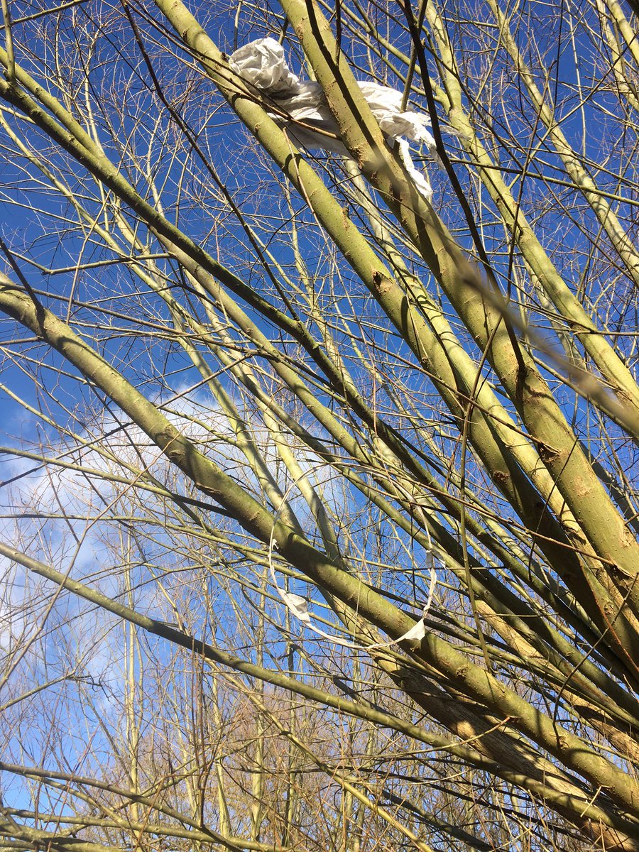 Just pulled this #ChineseLantern out of a tree at Fishers Green <a href="/LeeValleyPark/">Lee Valley Park</a> probably sold as an eco-friendly bamboo version but still dangerous to wildlife - please don't use them and spread the word! <a href="/RSPCA_official/">RSPCA (England & Wales)</a>