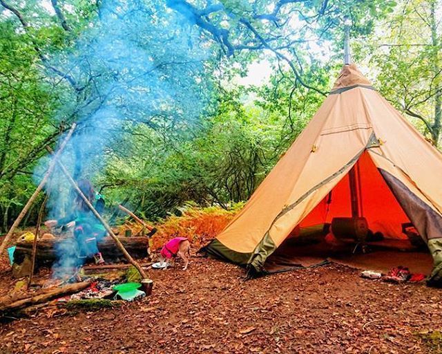 TentipiTents's tweet photo. Forest bathing & therapy with Aqua Folium in Devon. Here's a a lovely way to reconnect with nature, improve your own health and restore some balance in your life!
#forestbathing #foresttherapy #reconnectwithnature #destress #forestenvironment #alternativ… https://t.co/kEymfs353m https://t.co/tOS5KzQmSs