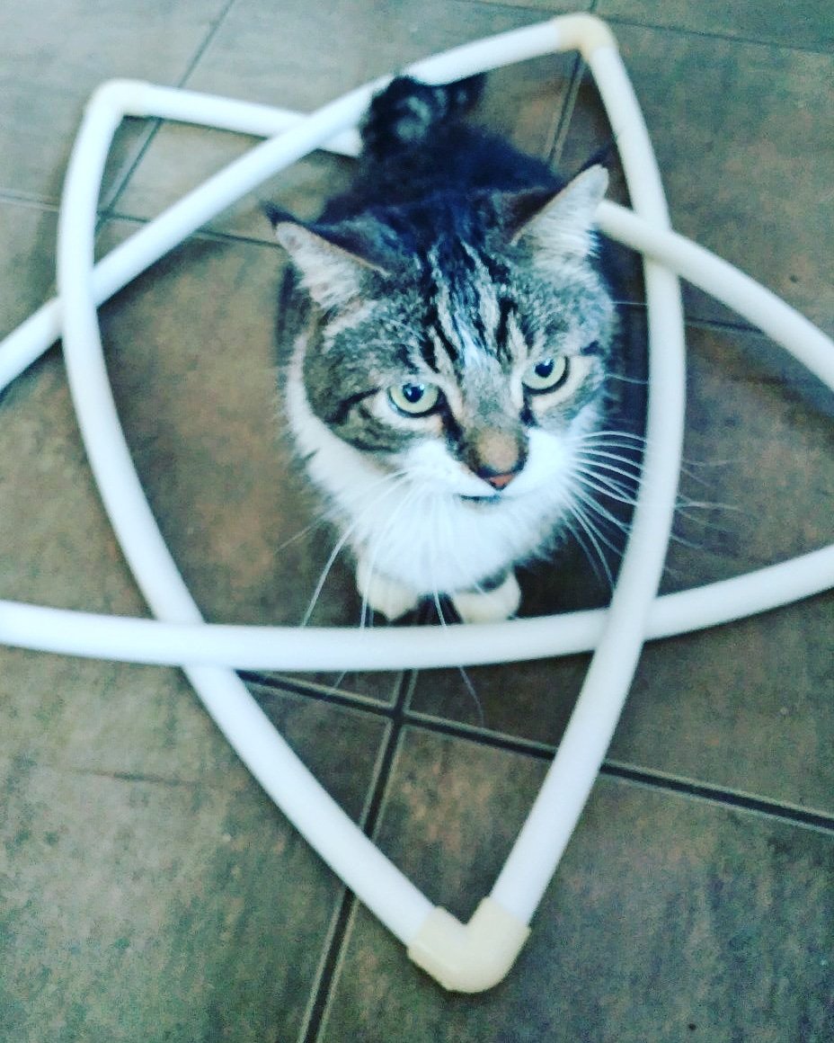 ValkyrieDroneRa's tweet photo. The star design is almost finalized. Dexter is showing off its summoning powers &amp; approval. Now to decide if it will be pixel LEDs for a wider range of looks or standard like the majority of the gates What shapes do you want to see added to the collection? #ledart #catapproved https://t.co/LHwzLKIq6Y