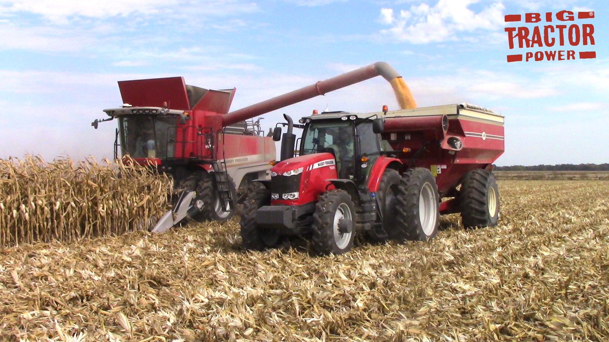 Check out Big Tractor Power's new Massey Ferguson Corn Harvest video on YouTube @ youtube.com/watch?v=diXNE5… #masseyferguson <a href="/AGCOcorp/">AGCO</a>