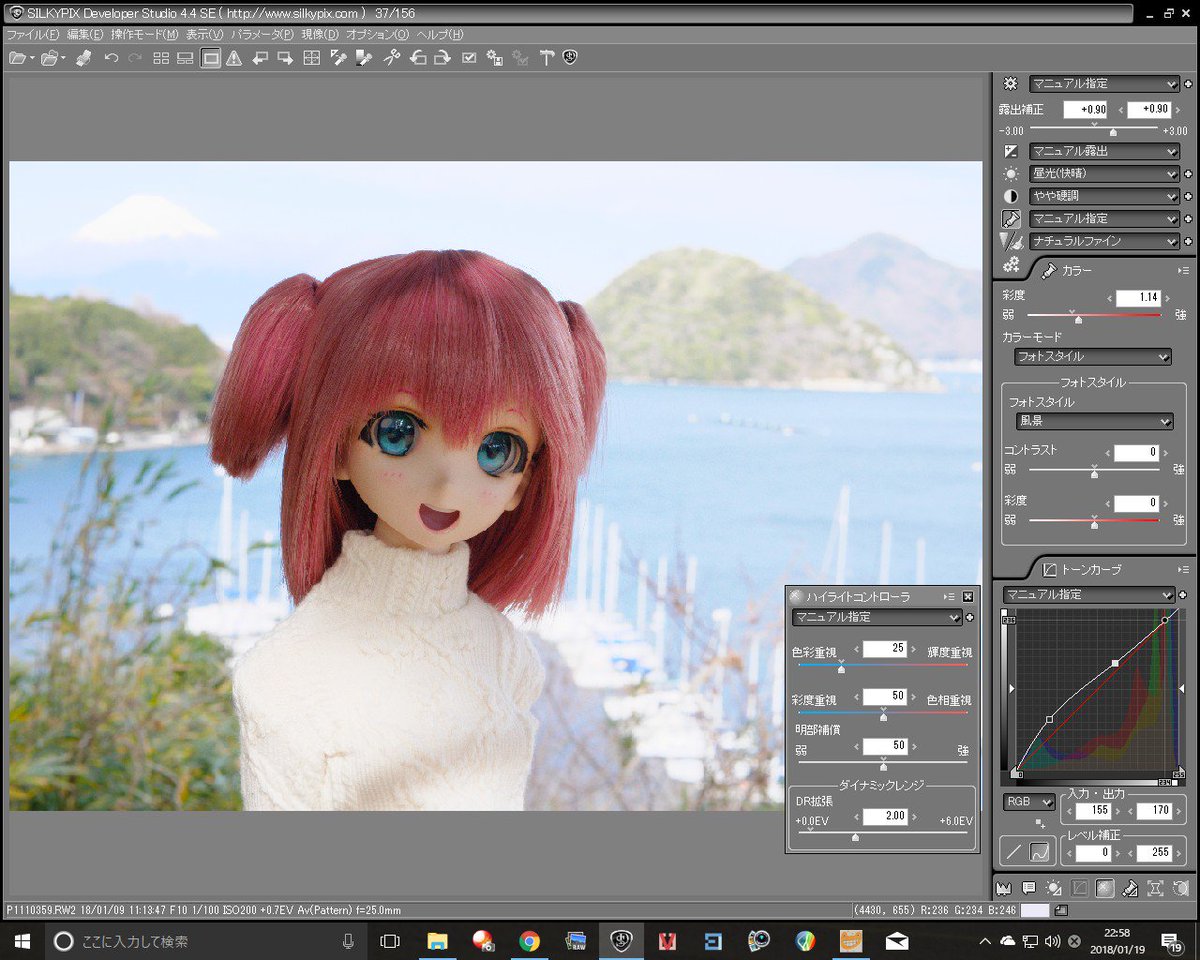 るりさんちのraw現像tips