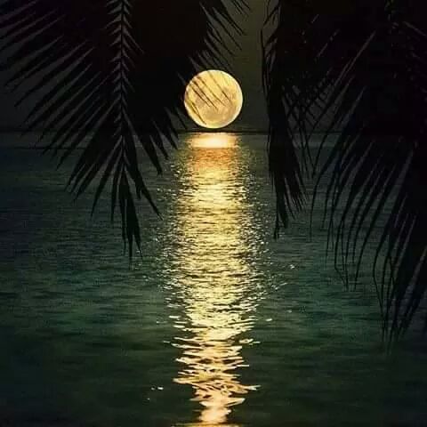 أخاف أن أُحادثك بكثره .. فتملٌ مني
وأخاف أن أصمت .. فتظن أن قلبي لم يعد يهتم بك.