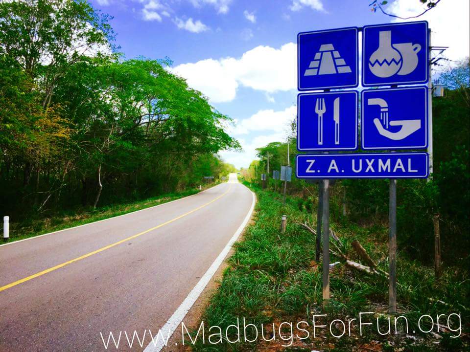 madbugsforfun's tweet photo. Le Yucatán - Mexique est à l'honneur dans notre émission évasion GoodRoadTripsStudio à l'écoute en ce moment sur @Pacifique_FM https://t.co/O4icQfyoM5. Profitez-en bien😉
#GoodRoadTripsStudio https://t.co/ROK2t72PxN