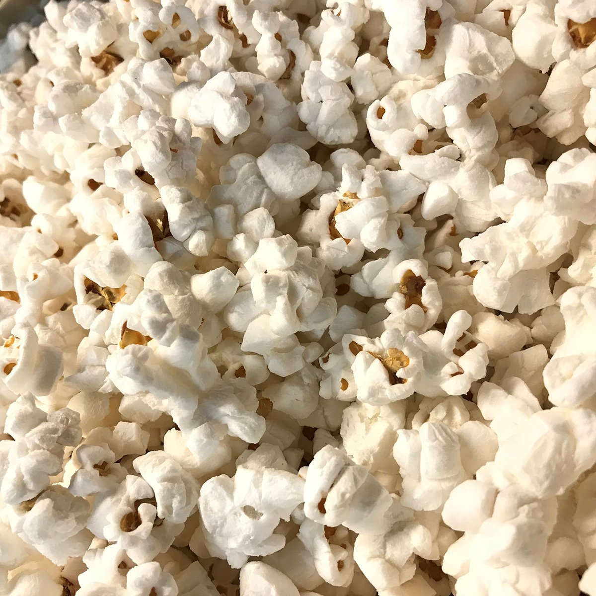 GuardianCU's tweet photo. Happy National Popcorn Day! Today, and every day, the popcorn is on us! Stop in your favorite branch today to celebrate.

#NationalPopcornDay #CreditUnion #Guardiancu https://t.co/UNEQLv2KcN
