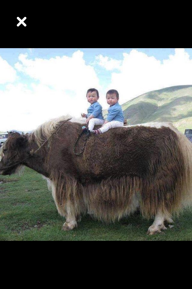 smart1800's tweet image. twins