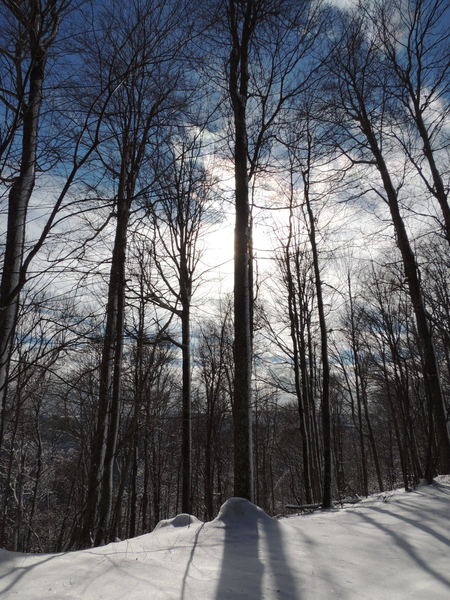 author_cjmurphy's tweet photo. New blog on #cjsmurphyslaw Chasing Tall Shadows. https://t.co/sOGMkQKgJA
#lesfic #soIwrite https://t.co/gkZUcBIVTh
