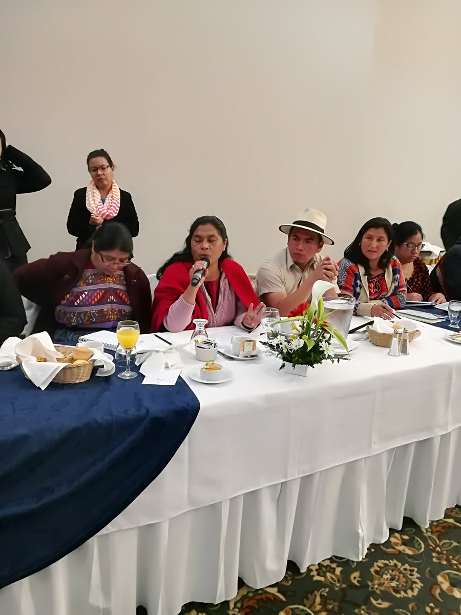 CensoGt's tweet photo. Uno de los objetivos de la Comisión Nacional Censal es promover una amplia divulgación sobre la importancia de la participación ciudadana, para lograr la eficiente ejecución del programa censal. @INE_Guatemala @UNFPAGuatemala @Oacnudh_GT @GuatemalaGob https://t.co/xNYUY5p8LR