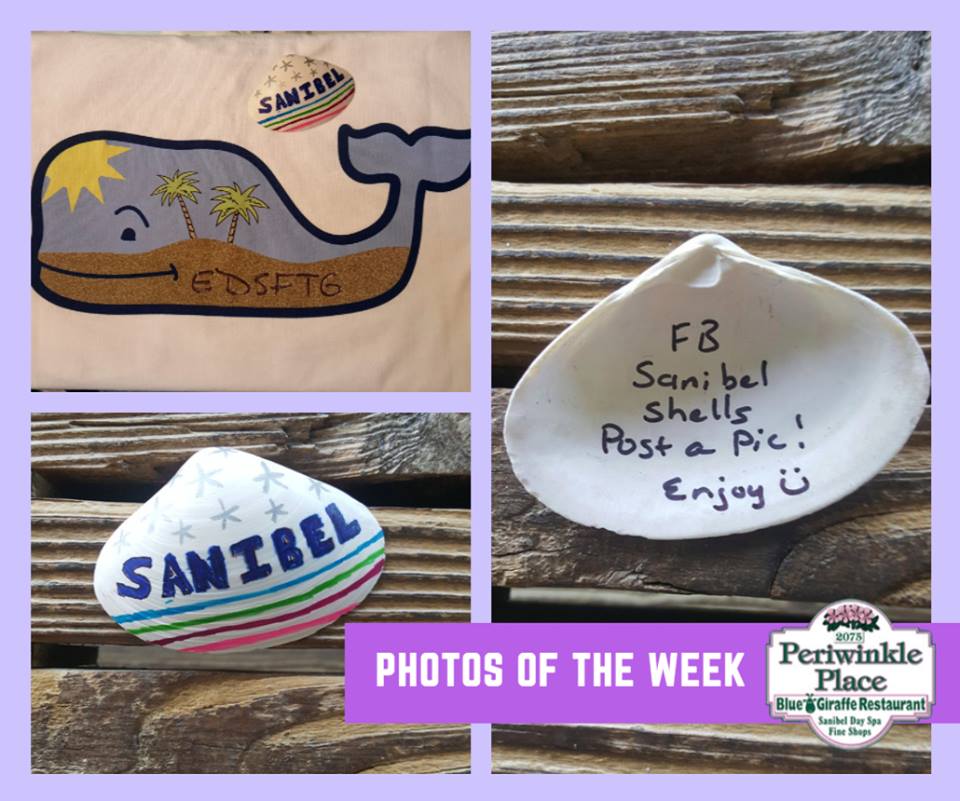PeriwinkleShops's tweet photo. #SanibelShells are popping up all over the shops! π #sanibel #captiva #shellseeker #shopping https://t.co/9UqlGoDMRZ