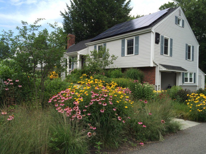 Garden4Wildlife's tweet image. Add your @NWF wildlife habitat #garden to @yardmap&apos;s growing map to help scientists better understand how these landscapes help #wildlife. blog.nwf.org/2018/01/map-yo…