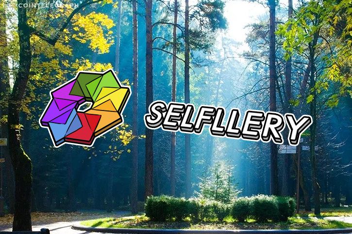 Hasil gambar untuk Selfllery