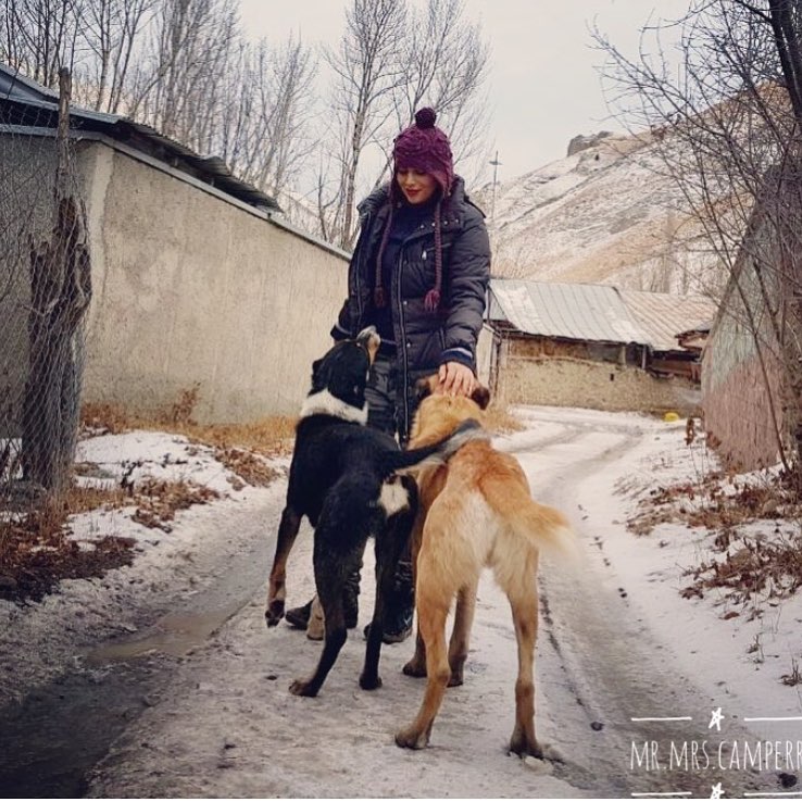 mrmrscamper's tweet photo. 🐶🐶🐶
با حيوانات مهربون باشيم
در فصل سرما وقتي خارج از شهر ميريم ميتونيم با خودمون غذا ببريم،ما معمولا اسكلت مرغ رو ميپزيم و عصاره ش ُ با نون مخلوط ميكنيم گاهي هم ماهي كيلكا ميپزيم براشون
يادمون باشه طبيعت اول خونه اونا بوده❤️
https://t.co/nIIugtXJ3F https://t.co/4x0lCTkUbq