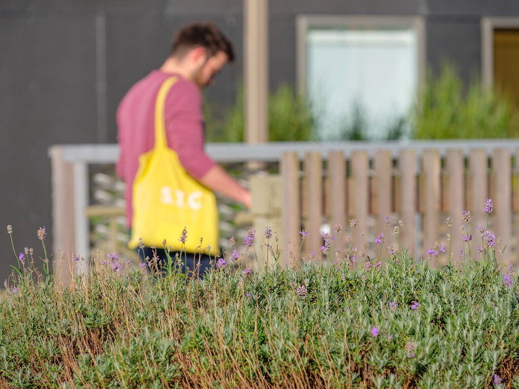 urban_splash's tweet photo. These images (some of which are brand new) show the awesome #USCommunity of #Saxton in #Leeds where in addition to lots of beautifully designed homes, there are also allotments and outdoor space for residents too https://t.co/j04mlgbuf5