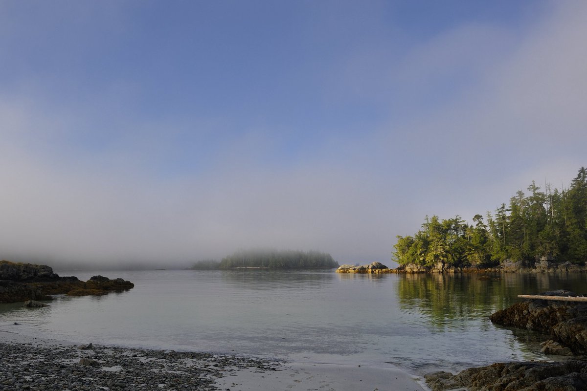 We protect the amazing and untouched nature in Western Canada. You can help is with only 50€. 

wilderness-international.org