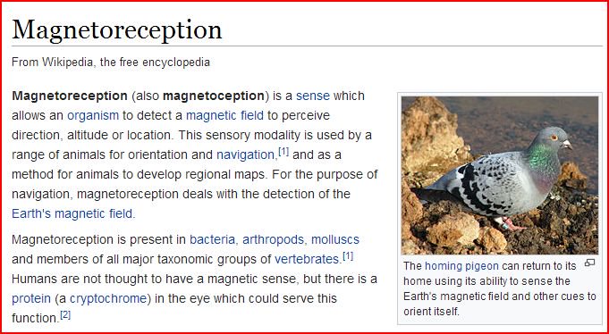 WildfirePI's tweet photo. @TrutherUfo #Biomagnetism #Magnetoreception #HumanResonance #Frequency #Chakra #Sound #Magnetism #Geomagnetism #Diamagnetism https://t.co/gH8mhYyDHC