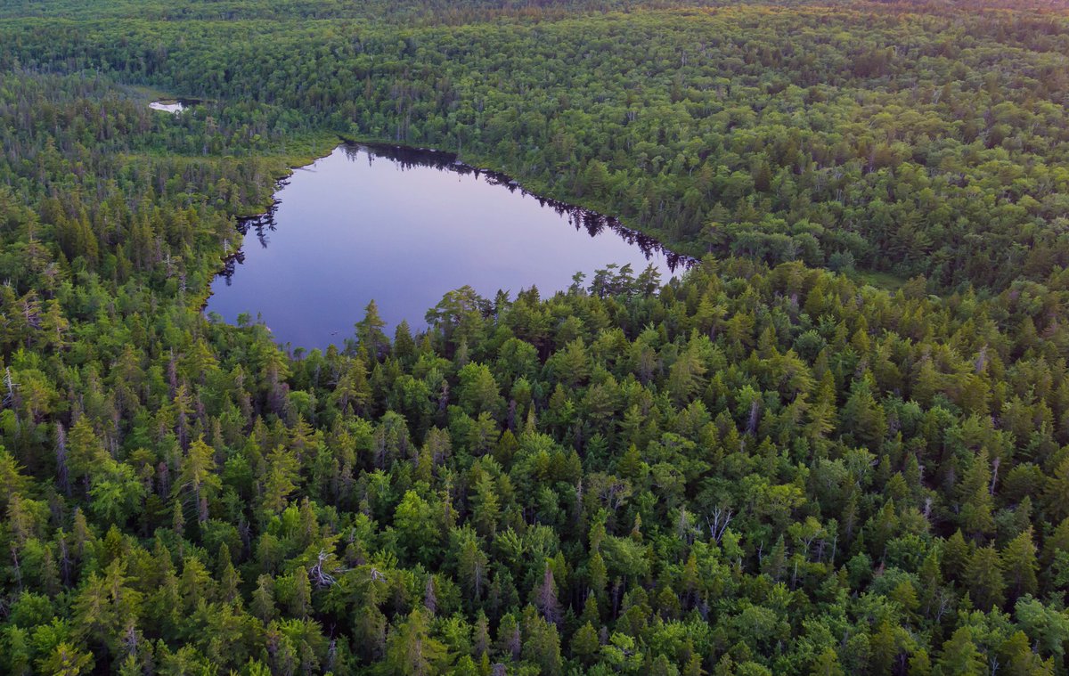 It's official. Lands near Hobsons Lake acquired for Blue Mountain - Birch Cove Lakes regional park. Excellent!!! (Photo: Flitelab) halifax.ca/home/news/hali…