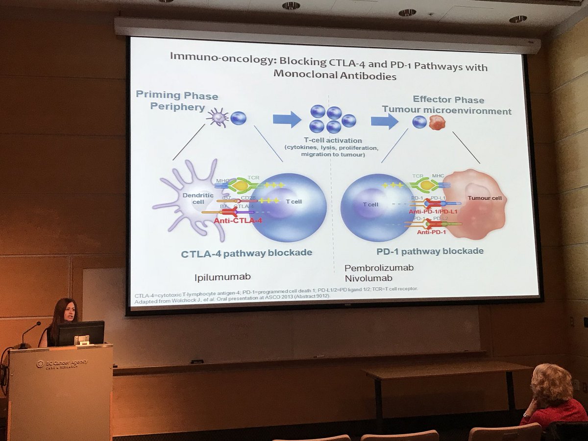 Giselle Tian （允娴） tweet media