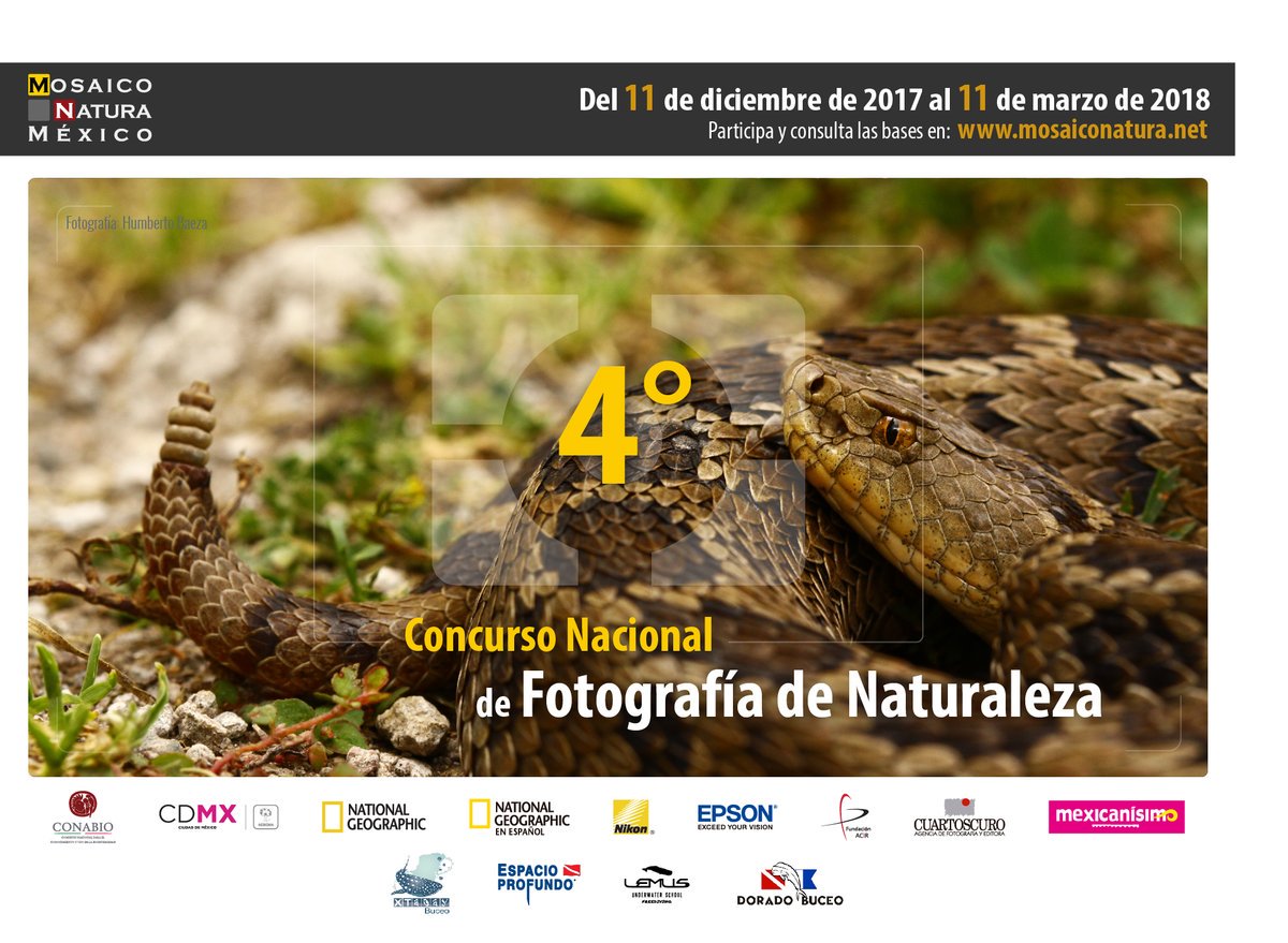 CONANP_mx's tweet photo. Participa en el 4° Concurso Nacional de Fotografía de Naturaleza #MosaicoNatura, de @Conabio. En https://t.co/ohAj0Aarpn consulta las bases. https://t.co/dMtcwkeYDL