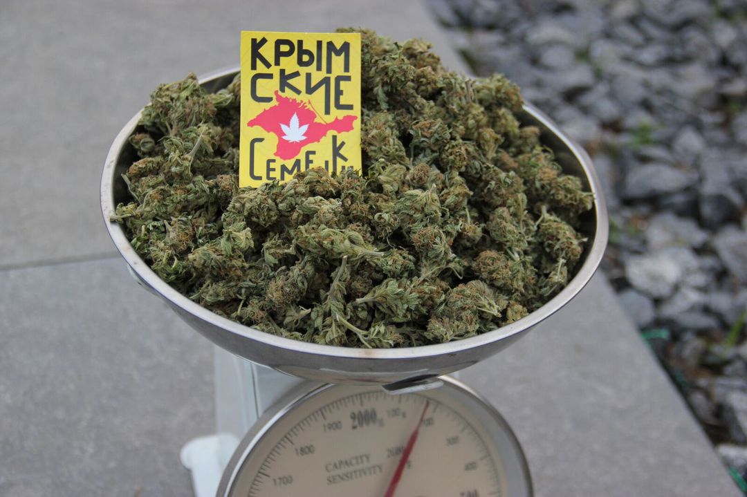где купить марихуану по украине