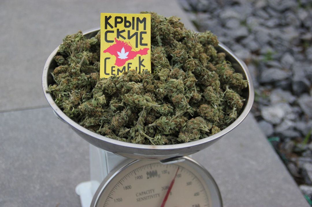 Купить марихуану в крыму Купить марихуану в крыму семена марихуаны хранение