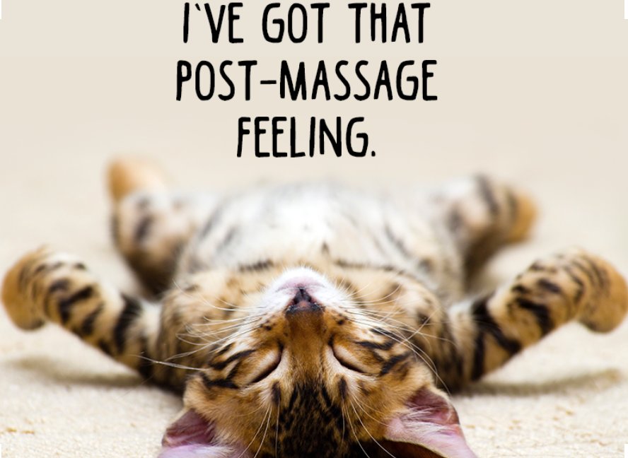 roscoppractice's tweet photo. Always after a massage with Jenny Pullini Roscop Practice Osteopath 
.
.
.
.

#fridayfun #massage #roscoppractice #osteopathy #osteopath #holistic #holistichealing #holistichealth #wellness #wellnesswarrior #massagetherapy #massagetherapist #massagelife #relax #chill #quote #qotd https://t.co/3R9eTcJSzQ