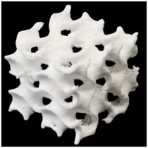 JohnHartner's tweet photo. @dimensioninx Dr Adam Jakus presenting at @SFBiomaterials about Creating Elevated Porosity Biomaterials via #3DPrinting

https://t.co/RUTKPWhxOl https://t.co/p9nHO2SUj2