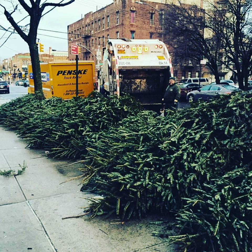 NYC Sanitation on Twitter "300 'treecycling' trucks will be out thru