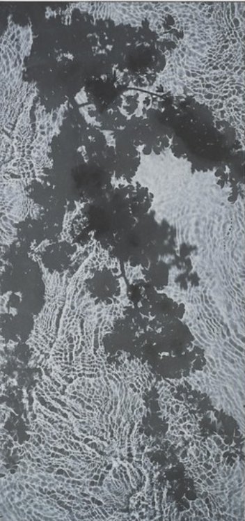 julieleachart's tweet photo. Another favourite from #theLondonArtFair was work by #SusanDerges showing with the #PurdyHicksGallery main fair, stand 24. #Willow2017 #photogravure with #chinecolle. Like myself she's interested in capturing often #invisible #naturalprocesses - held particular resonance for me. https://t.co/8eX8WgAvmo