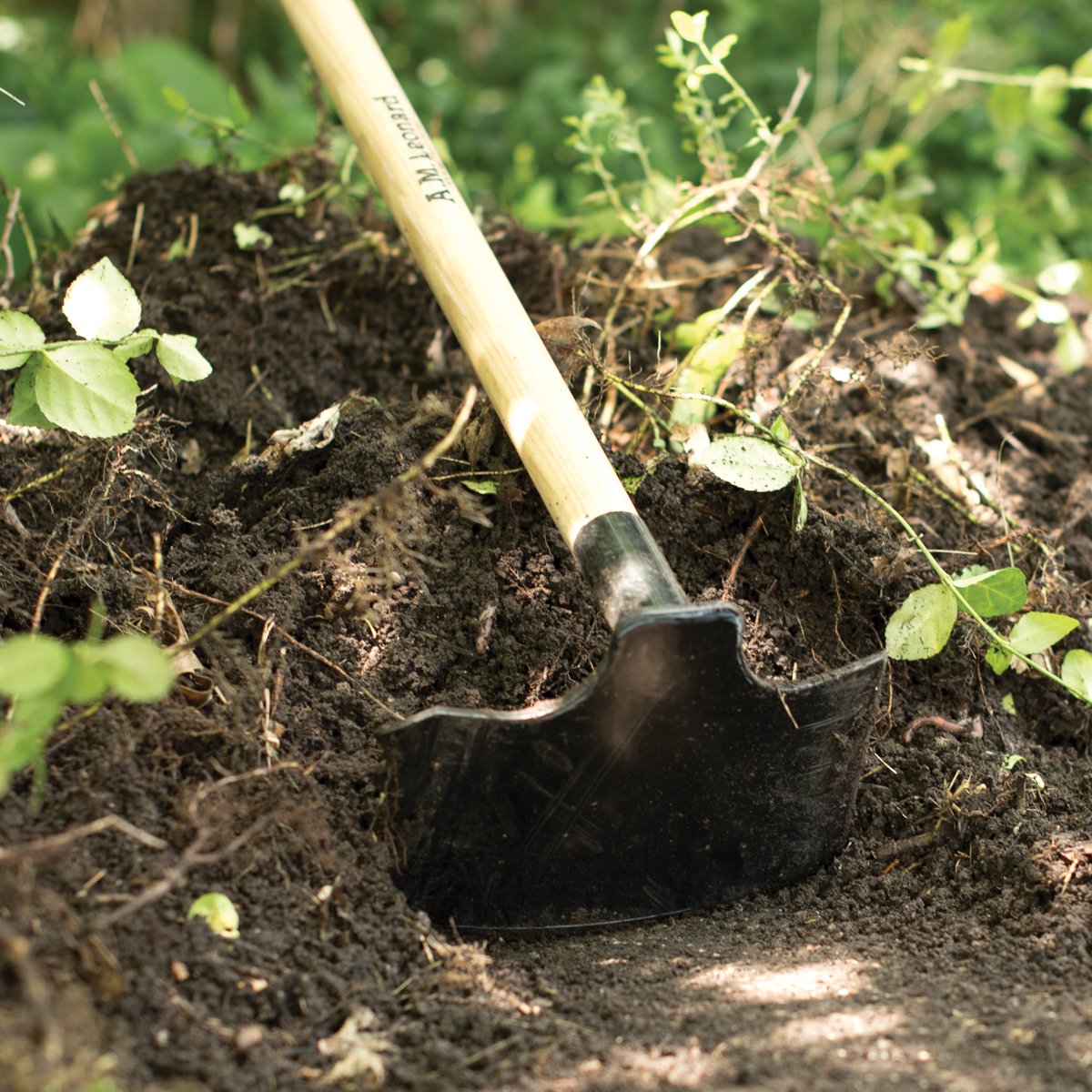 amleonardinc's tweet photo. Our new Leonard brand garden and clearing hoes are dependable, versatile, and tough as nails! Find them here: https://t.co/XrS3FKAzCB #amleonard #gardenhoes #toughtools #garden #tools https://t.co/YEsTzn2Ci4