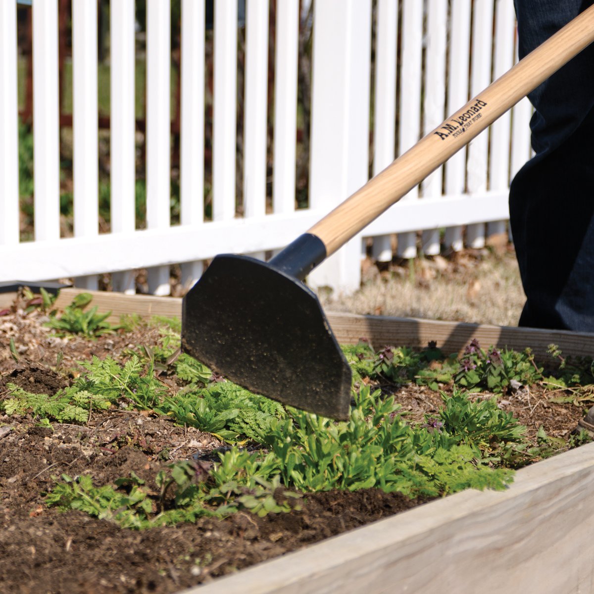 amleonardinc's tweet photo. Our new Leonard brand garden and clearing hoes are dependable, versatile, and tough as nails! Find them here: https://t.co/XrS3FKAzCB #amleonard #gardenhoes #toughtools #garden #tools https://t.co/YEsTzn2Ci4
