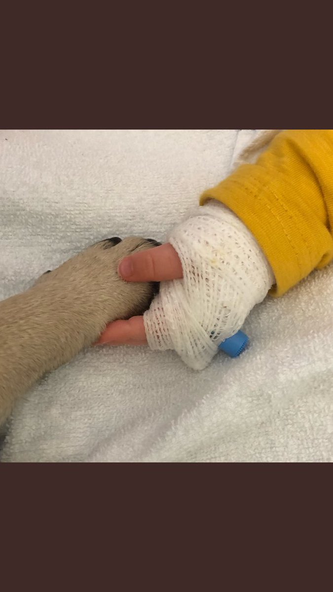 This picture of <a href="/therapypugalfie/">Alfie</a> at <a href="/RMCHosp/">RMCHosp</a> today shows the huge positive impact <a href="/PetsAsTherapyUK/">Pets As Therapy</a> can have. #bringingcomfort #pugmedicine #seesthepersonnottheillness 😍🐾 huge thanks to his Nana for sharing Alfie 💕💕🐾🐾 #certainlymademesmile ☺️