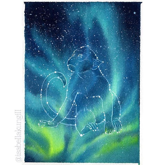 isaberryk's tweet photo. Another one of my fav! 🐵🙈🙉🙊——————————————————- #aurora #yearofthemonkey #monkeybusiness #monkeyyear #constellation #constellations #zodiacsigns #zodiacsign #chinesezodiac #spiritanimal #starrynight #skyscape #stargazing #illustrationartists #watercol… https://t.co/MPi6vDZf47 https://t.co/HMM1mZvx0i