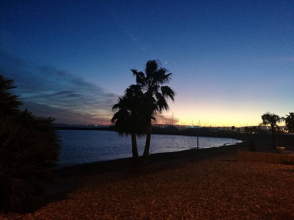 eduvoices's tweet photo. Une super ambiance, un cadre exotique et des rencontres informelles enrichissantes pour ce 2e #AperoVoices à #Nice organisé par nos ambassadrices @elozur @_E_mi_lie @ChristelleGe 👍🎉🍸🍹 https://t.co/BUusJAVKhc