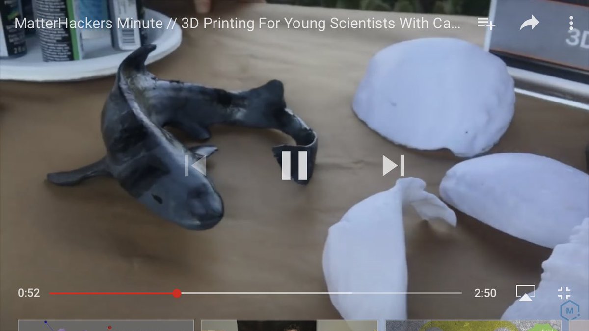 3DPGirl's tweet photo. At @SciCommCamp I learned about #Ecologik - a #STEM camp for girls at @SDPublicLibrary using #3DPrinting to teach tide pool preservation in @cabrillonps. Check out this #MatterHackersMinute! #FindYourPark #CabrilloNationalMonument #3DPrinted #GirlsInSTEM https://t.co/VdOHOne3Jt https://t.co/vvAC9Mon6p