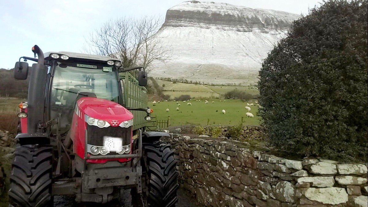 Andrew Barber’s farm in Sligo - snow on Benbulbin...