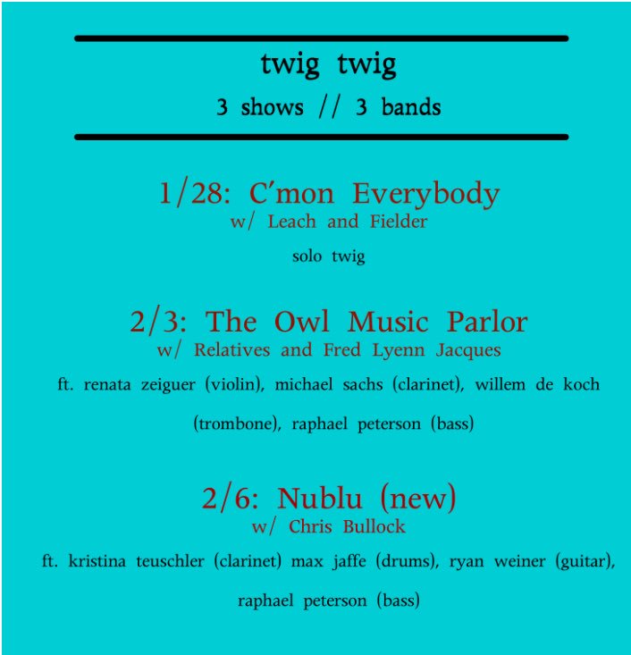 twig on the move! 3 shows//3 bands