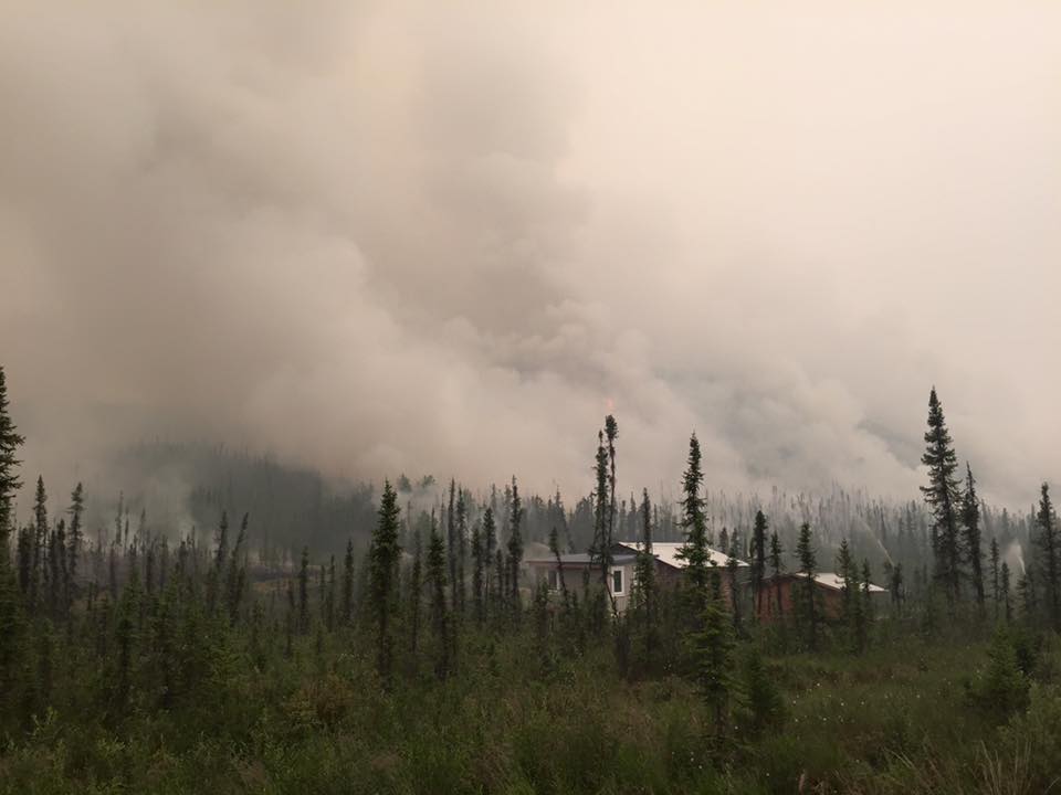 Nature_Colorado's tweet image. America needs a #FireFixNow to let @forestservice stop paying for firefighting with money it needs for #forest health to reduce risks. bit.ly/wildfirefix