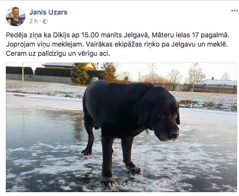 Pedēja ziņa ka Dikijs ap 15.00 manīts Jelgavā, Māteru ielas 17 pagalmā. Joprojam viņu meklejam.  Ceram uz palīdzīgu un vērigu aci.